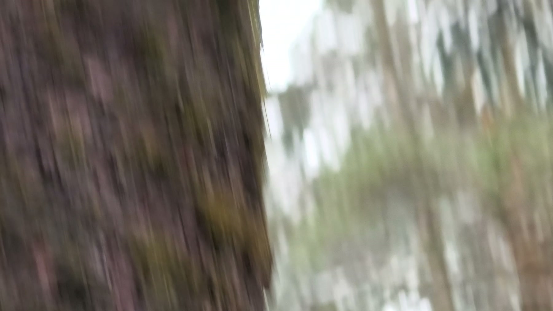 Video 04